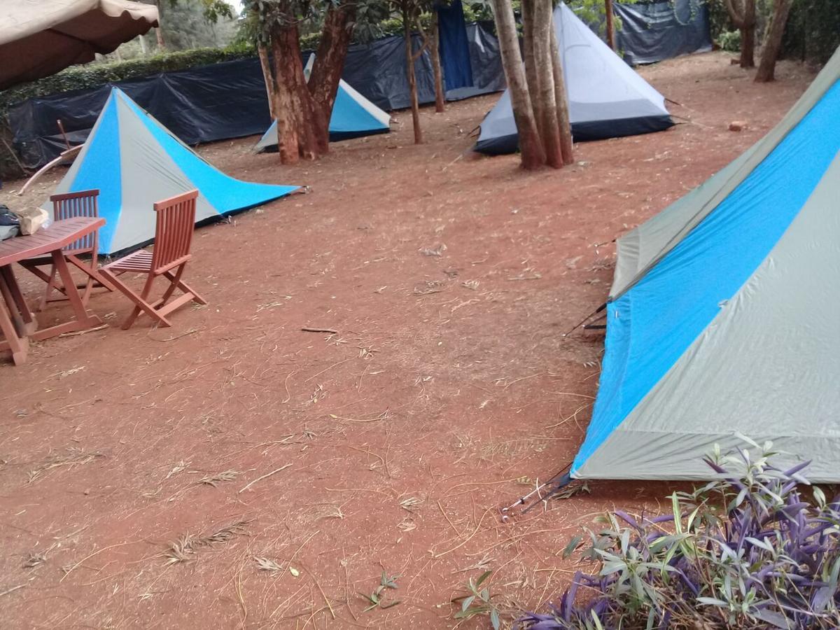 Milimani Backpackers Vandrerhjem Nairobi Eksteriør bilde